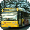 Sold Surfside Buslines buses